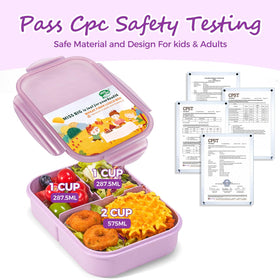 Miss Big lunch box kids two sizes to fit kids and adults