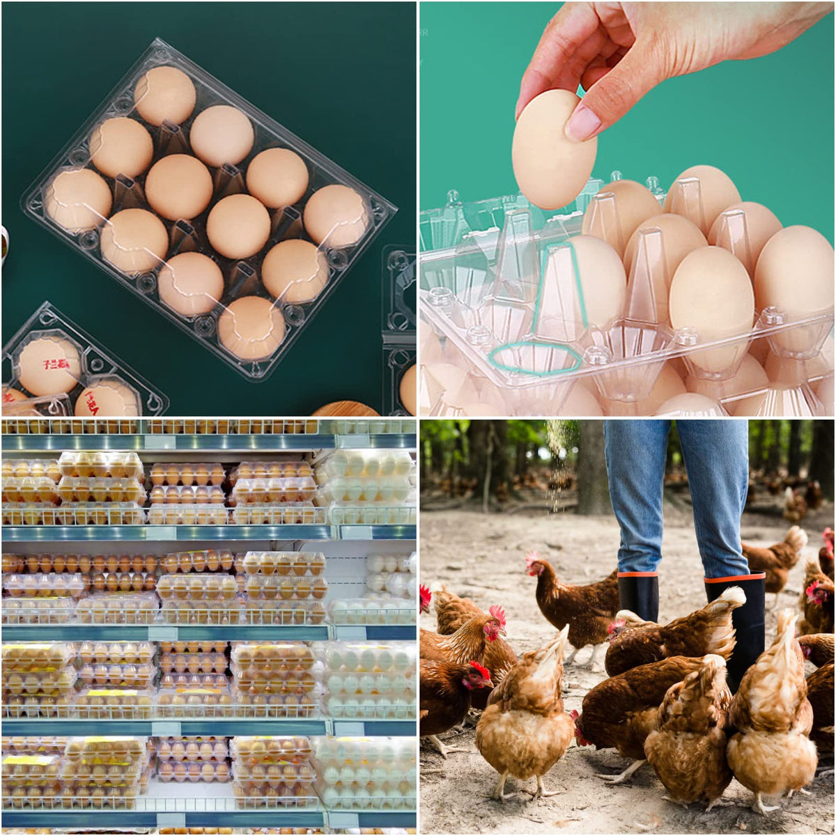 MIVIDE versatile egg carton suitable for gifts, crafts, or family use