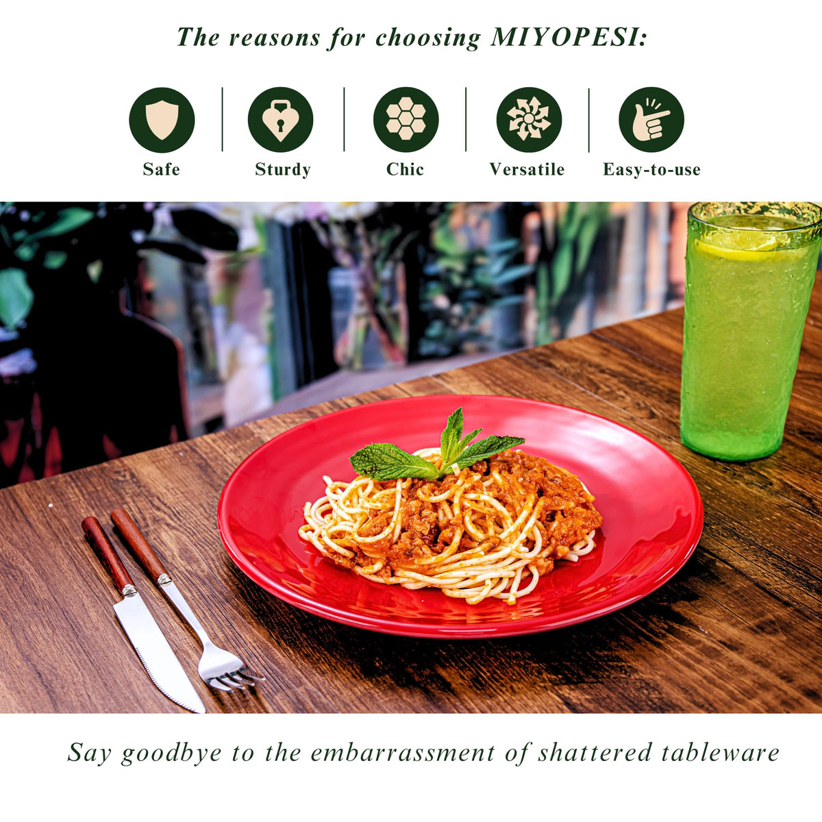 MIYOPESI multicolor dinnerware plates for everyday use