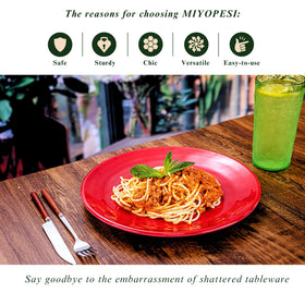 MIYOPESI multicolor dinnerware plates for everyday use