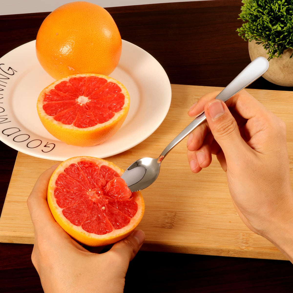 ModaSin grapefruit spoons in polished silver plating resist rust