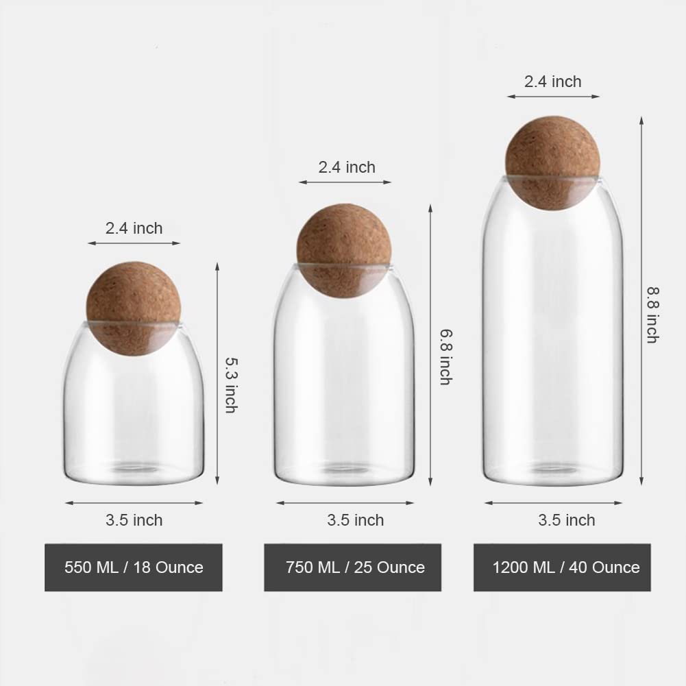 MOLFUJ stylish counter organizer glass jar for pantry visibility.