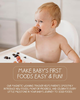 MOMMY'S GUIDE perfect gift for new parents starting solids.