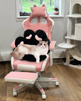 MOONBEEKI design doubles as a cozy pet bed on sofa.