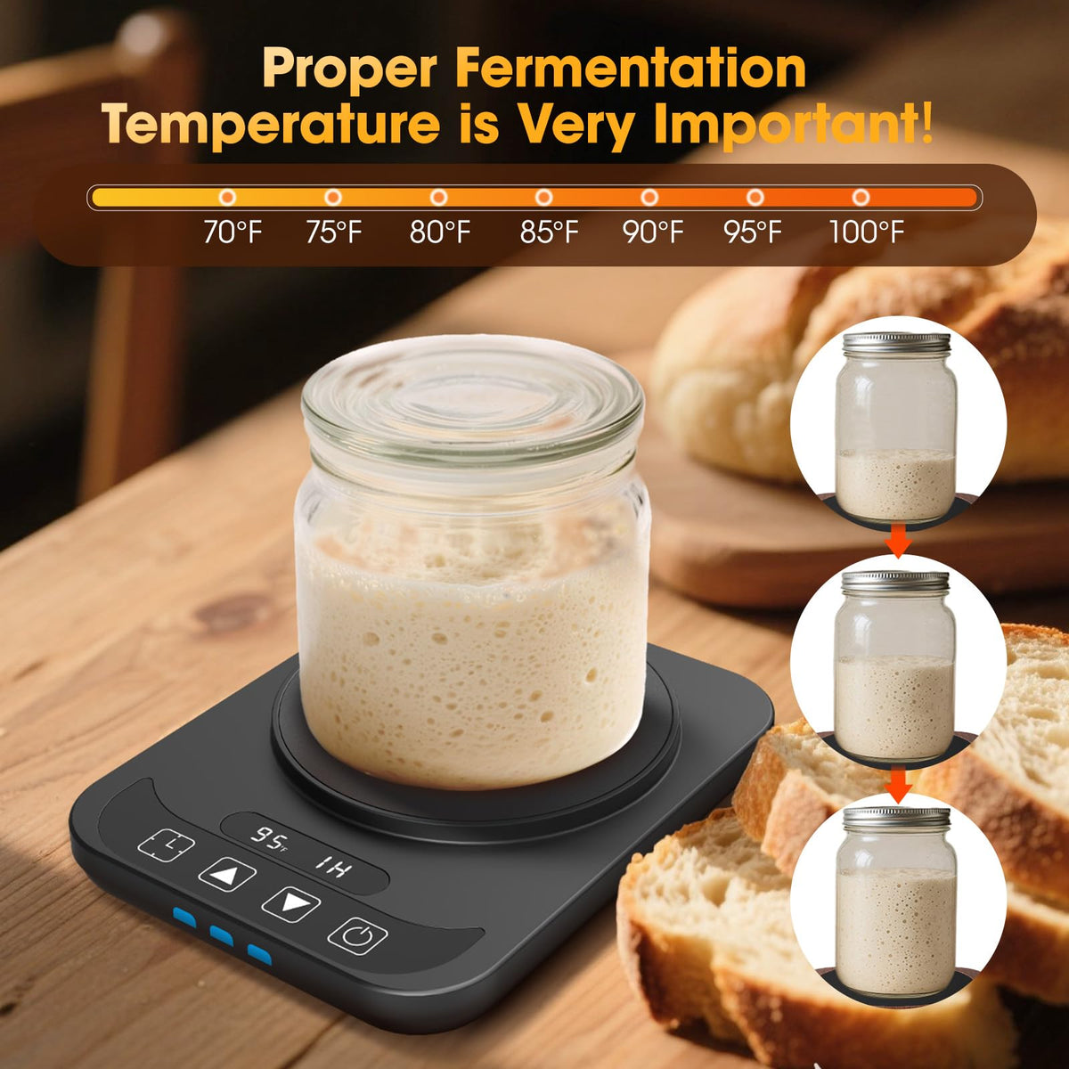 MQUPIN Sourdough Warmer temperature display keeps you informed during proofing