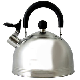 Mr. Coffee Carterton tea kettle with mirror finish and safe, easy-pour spout.