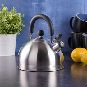 Mr. Coffee Carterton kettle showing flip-up spout cover for safe pouring.