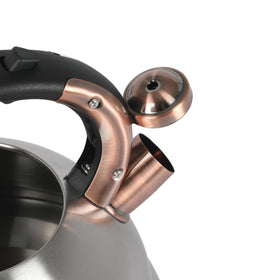Mr. Coffee Flintshire kettle on stovetop in a classic kitchen setup.