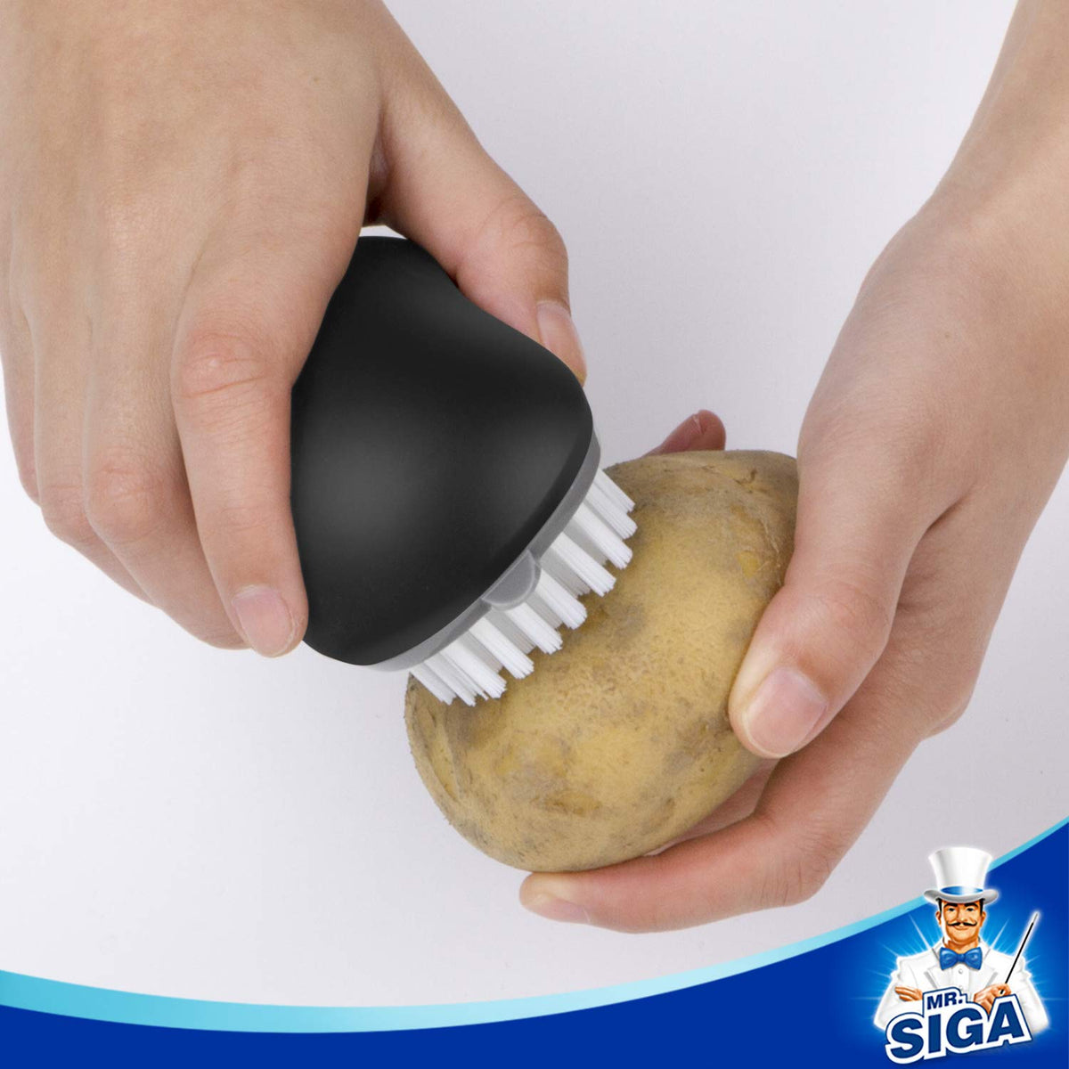 MR.SIGA pack of 2 black brushes for daily kitchen tasks.