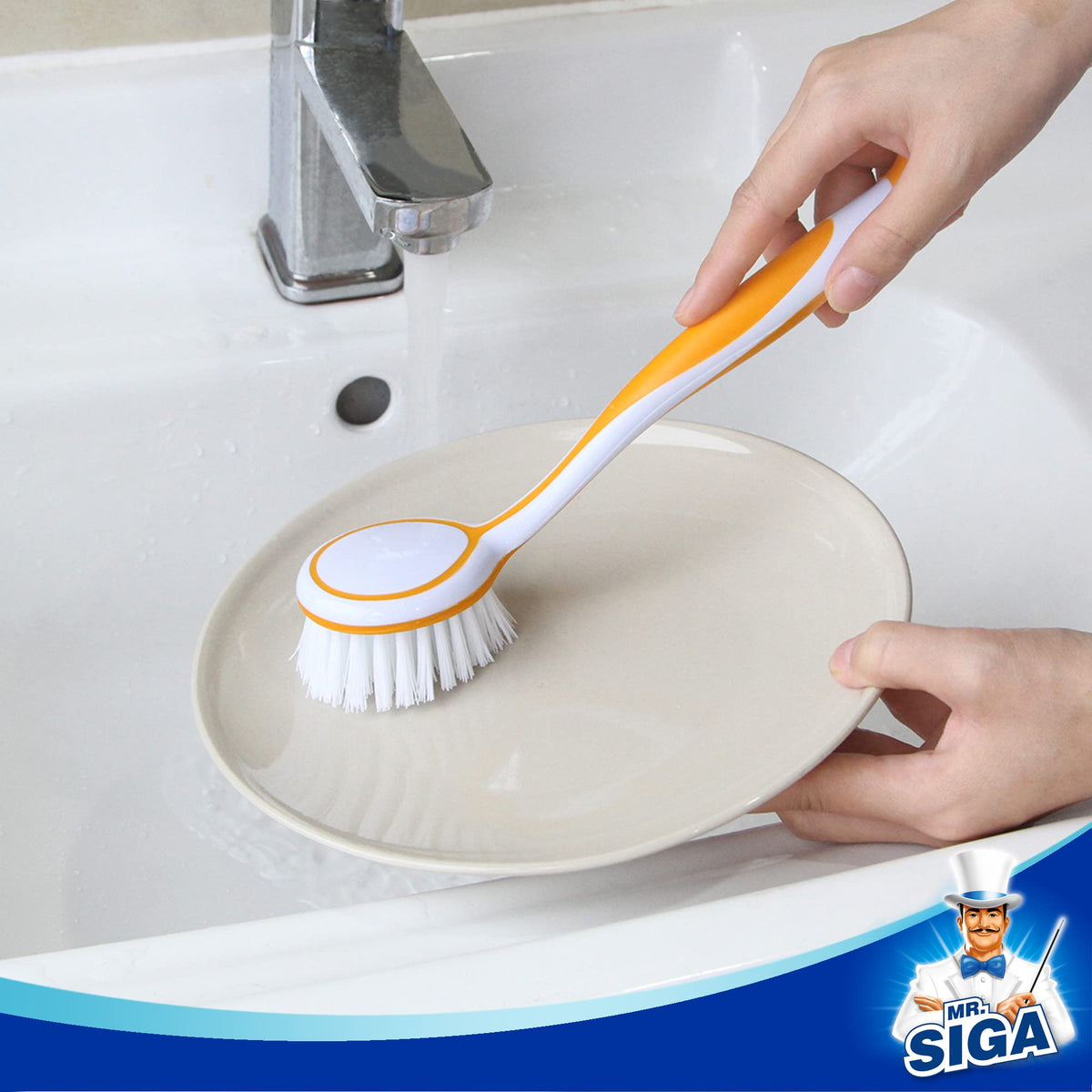 MR.SIGA Round Dish Brush, 5.5 cm diameter, fits standard bowls.