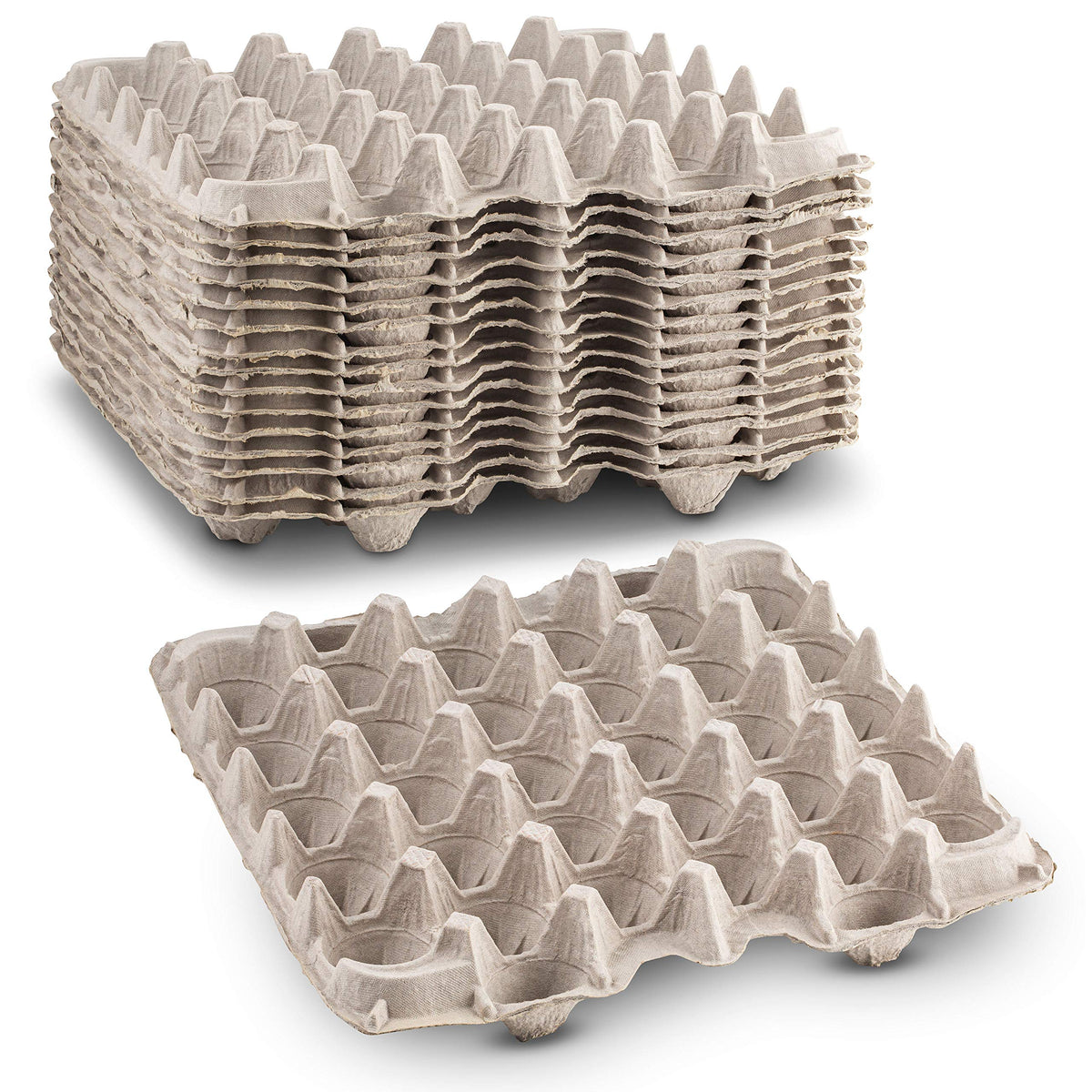 MT Products biodegradable pulp egg flats 15-pack protecting up to 30 eggs