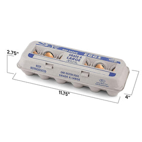 MT Products recycled-pulp egg carton keeps eggs dry and fresh