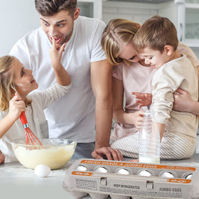 MT Products seed tray use showcased with egg carton form factor