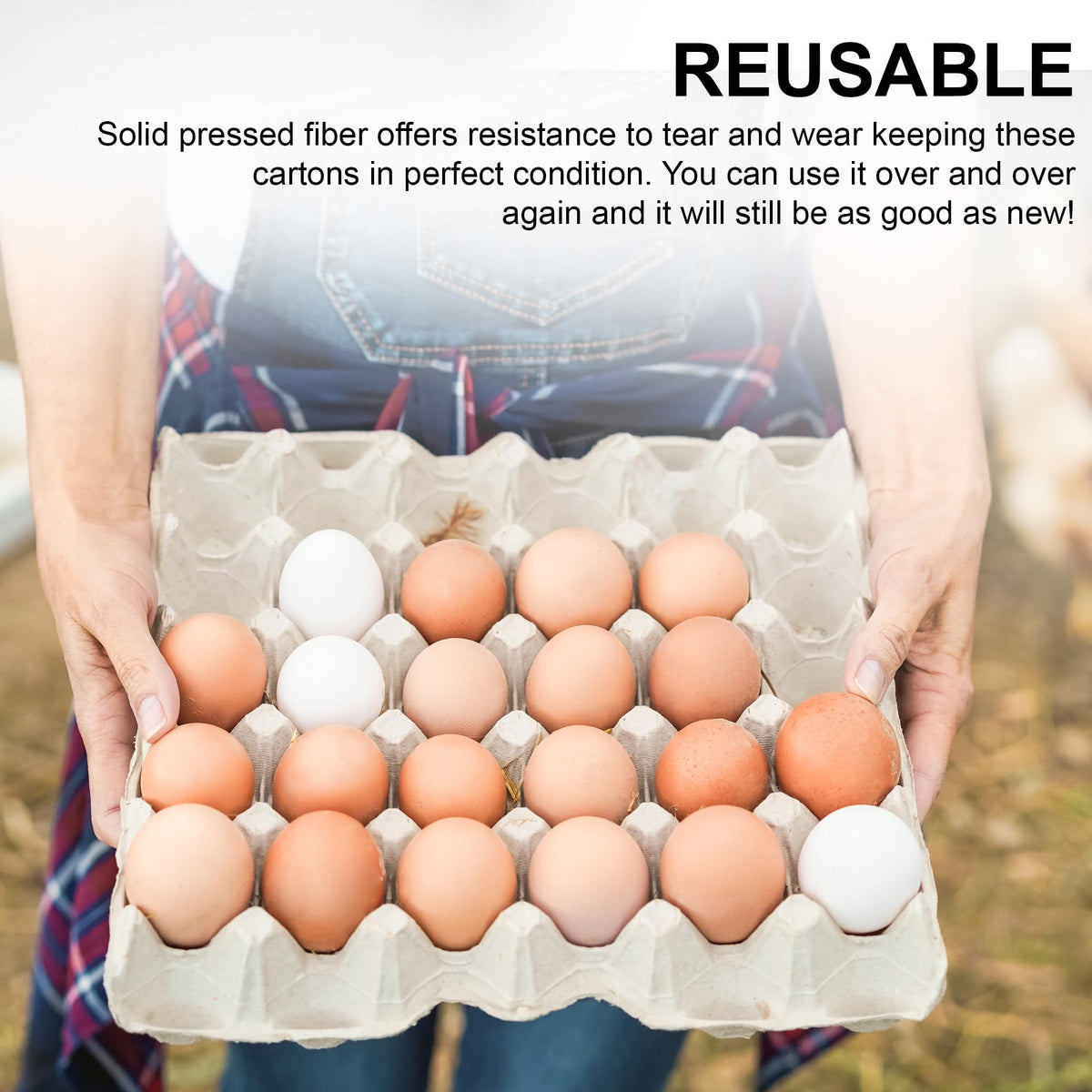 Reusable MT Products egg flats suitable for crafts and projects