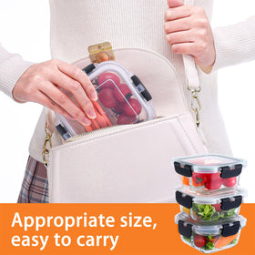 Nafhone compact picnic travel containers ideal for lunches.