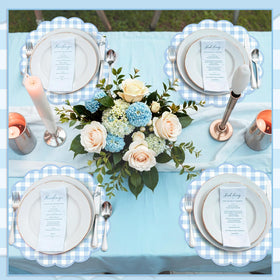 NatNarr 13.5-inch blue gingham placemats for polished dining setups