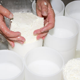 Natural Probio rennet delivers professional-quality results in home cheese making
