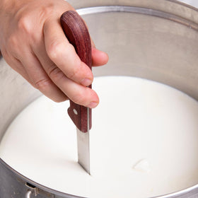 Natural Probio rennet coaxes whole milk into fresh cheese with character
