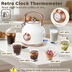 NESSGRAIM one-point-seven-liter capacity ideal for quick tea and coffee