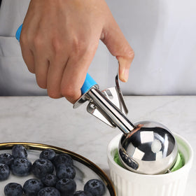 New Star Foodservice dishwasher-safe disher ensures easy cleaning in busy kitchens.