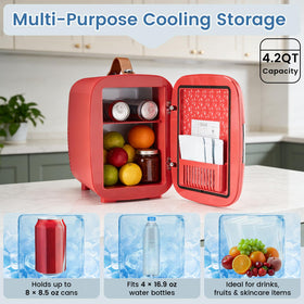 NEWBULIG mini fridge connected to AC and DC power for home and car use.