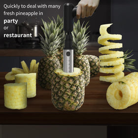 Newness Pineapple Corer Easy Peel, Core, and Slice in seconds.