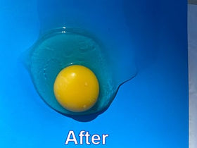 NewYolk Original Egg Tool competition-ready aid for precise egg prep
