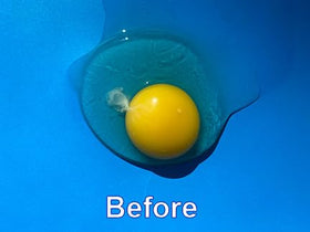 NewYolk Original Egg Tool gift-ready design for chefs and bakers
