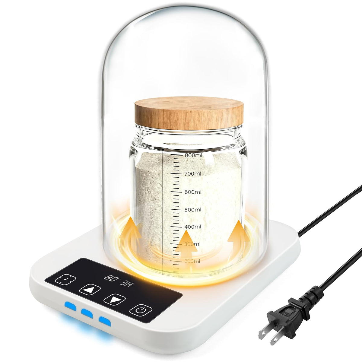 NICOFPHY sourdough starter warmer with glass dome for steady fermentation.