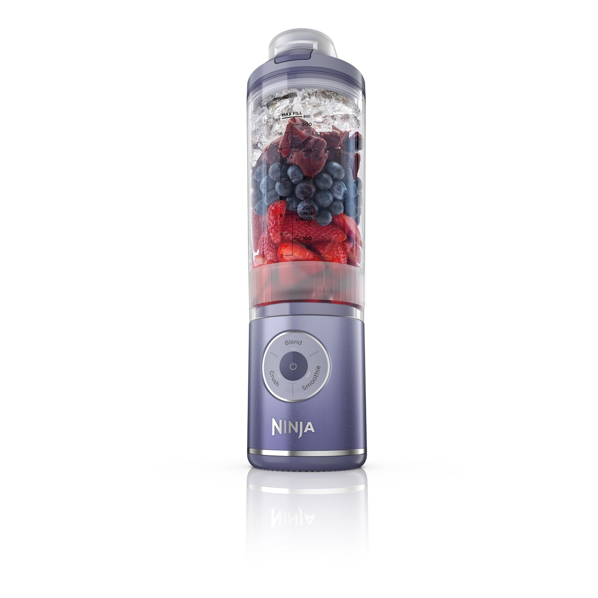 Ninja Blast Max Auto IQ programs simplify blending with one button
