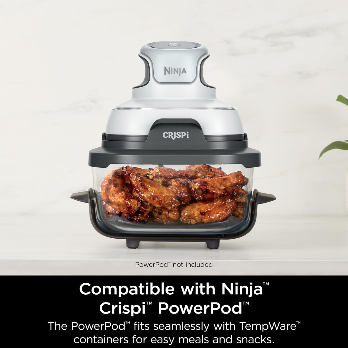 Ninja CleanCrisp glassware with heat-protective feet on a counter.