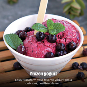Ninja CREAMi Deluxe Frozen Yogurt program for creamy results.