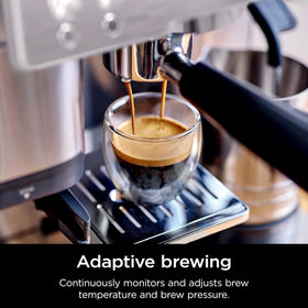 Ninja Luxe Premier cold brew dispense highlighting cold-pressed option.