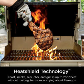 Ninja ProChef probe on a grill searing with steady temperature feedback.