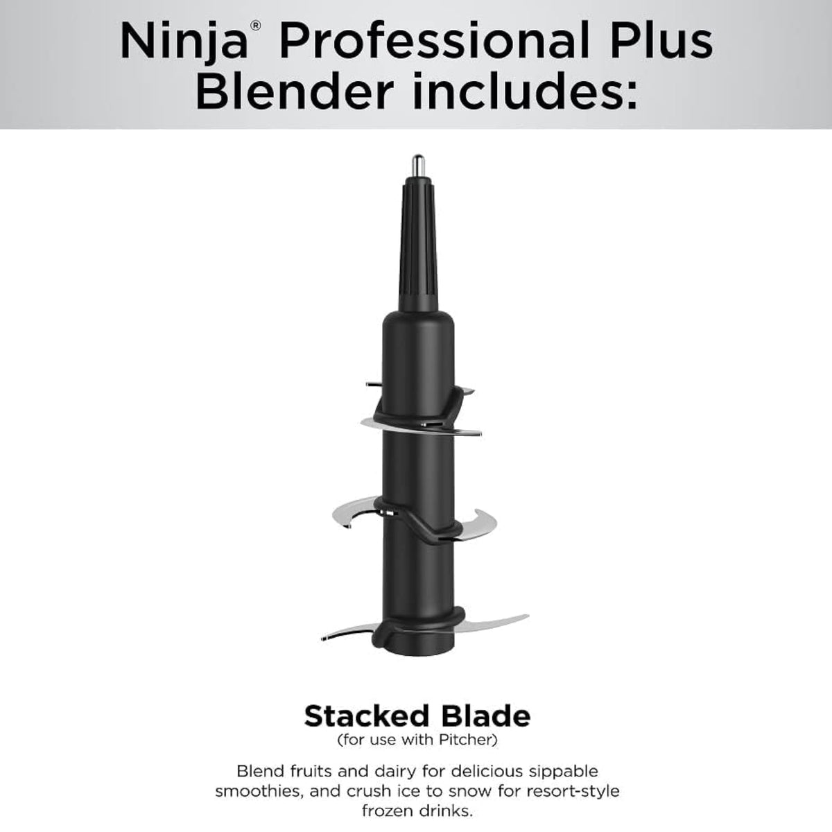 Ninja Professional Plus recipe guide included for blending ideas.