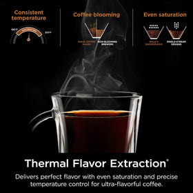 Ninja CM401 glass carafe captures aroma and strength.