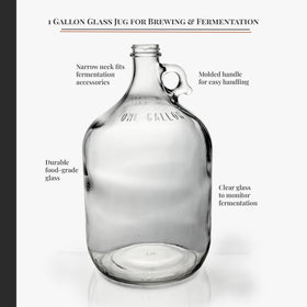 North Mountain Supply black plastic lid shown securing the jug during ferment.