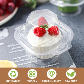 NPLUX PET plastic box emphasizes sturdy, transport-friendly dessert container.