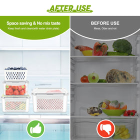 ODOMU BPA-free berry container protects fruit and prevents leaks