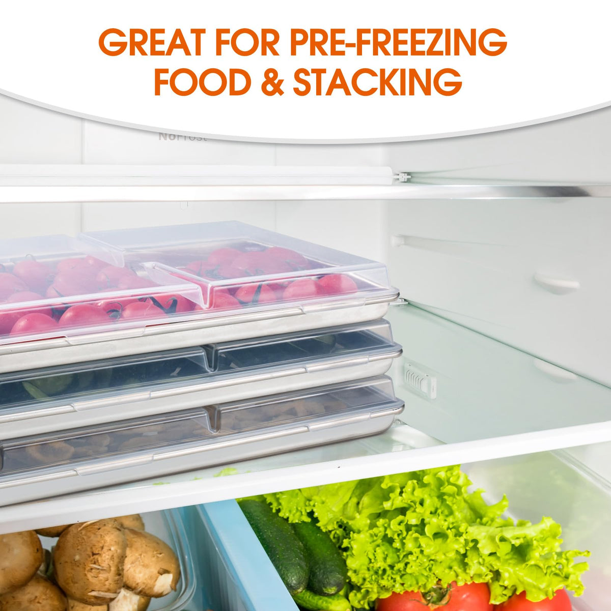 Ofhedeve divided-food lid creates sections for neat, organized portions.