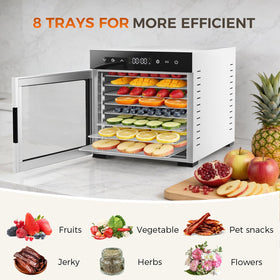OLIXIS silver dehydrator with control panel — easy temperature and timing for precise results.