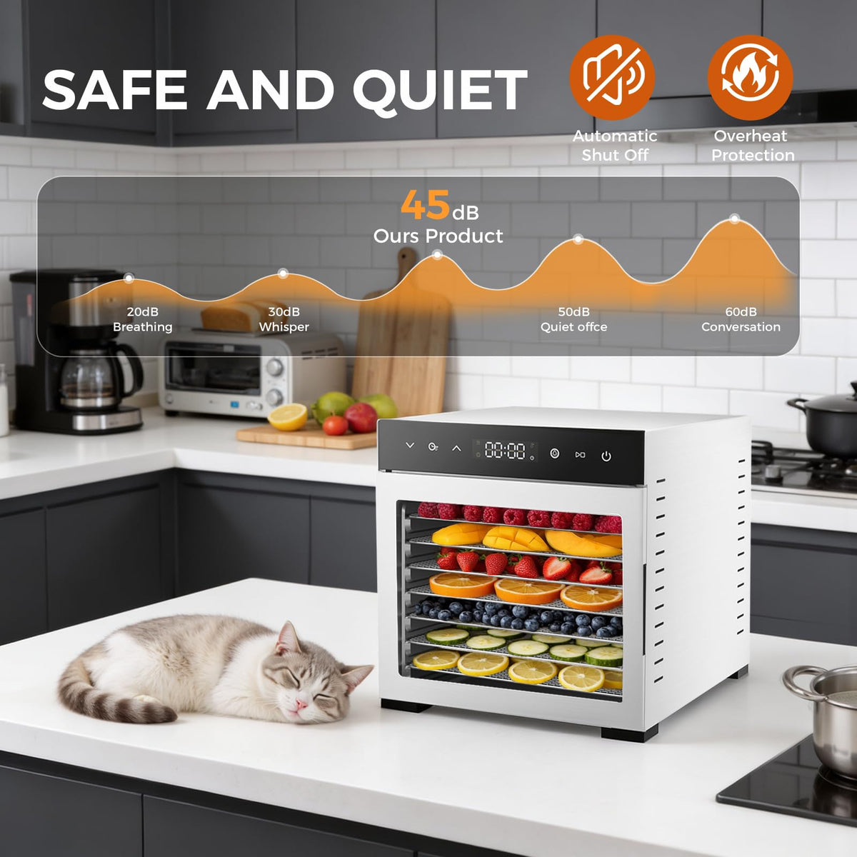 OLIXIS horizontal airflow system image — even drying across all trays for consistent quality.