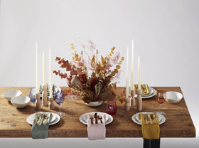 Oneida Aptitude Champagne Satin flatware ideal for entertaining guests.