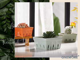 ONEMORE gift-ready berry basket set arrives well-packaged