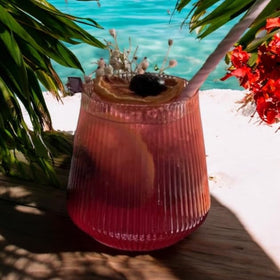 Oojami Shatterproof Plastic Cocktail Glass—durable and stack-ready for busy hosts.