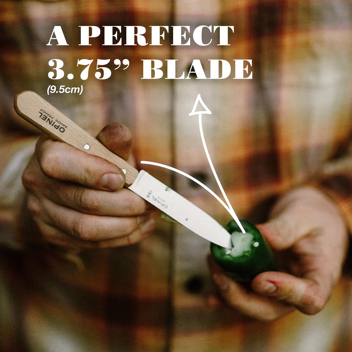 OPINEL No. 112 peeling garlic becomes swift and precise.
