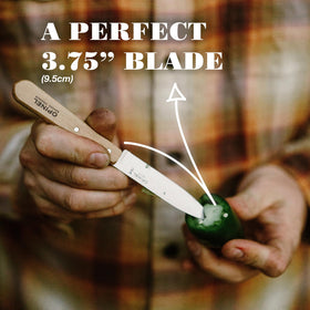 OPINEL No. 112 peeling garlic becomes swift and precise.