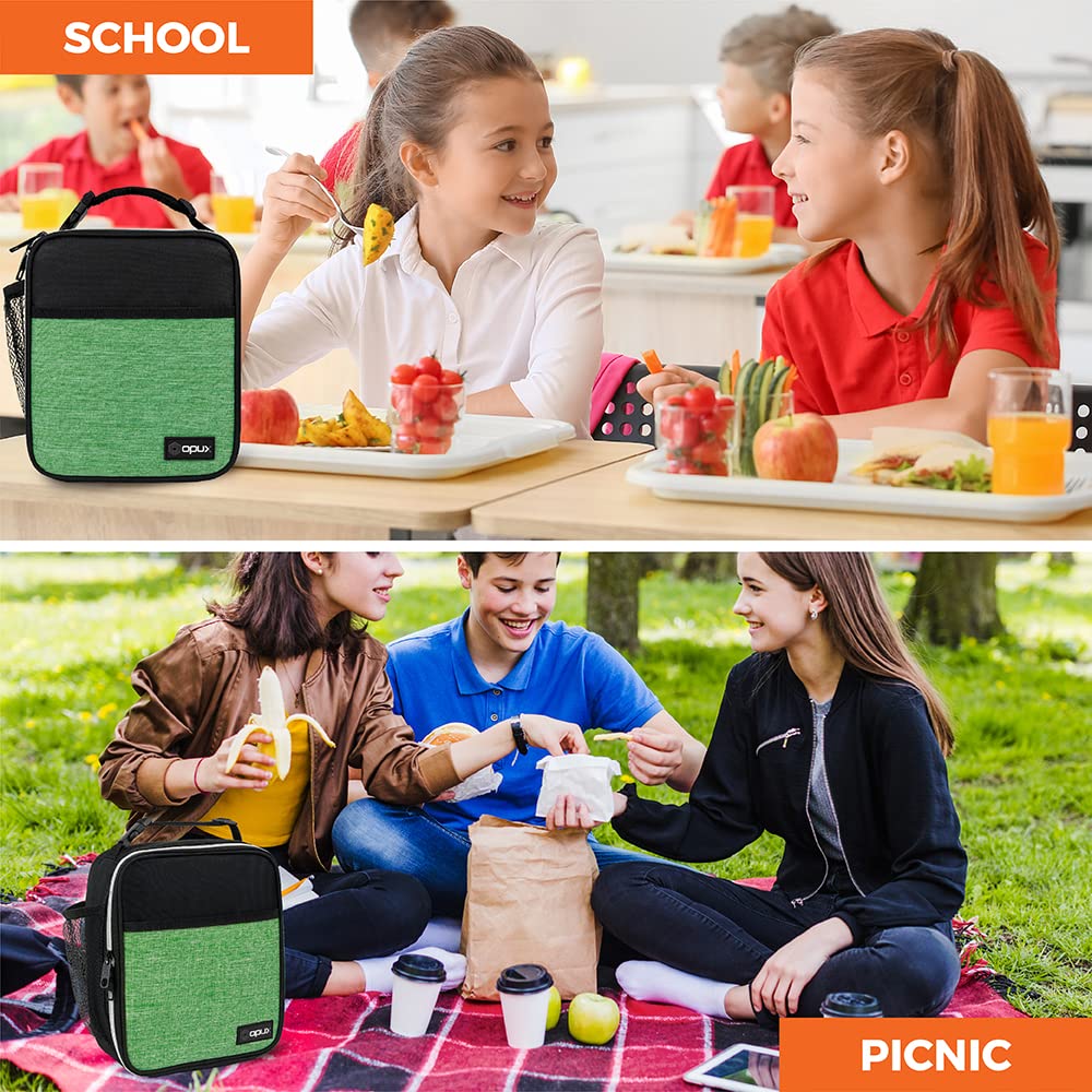 opux compact size 10x8x3.7 inches fits a full lunch or six cans