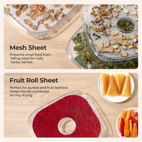 OSTBA dehydrator in action drying fruit and jerky to snack-ready results