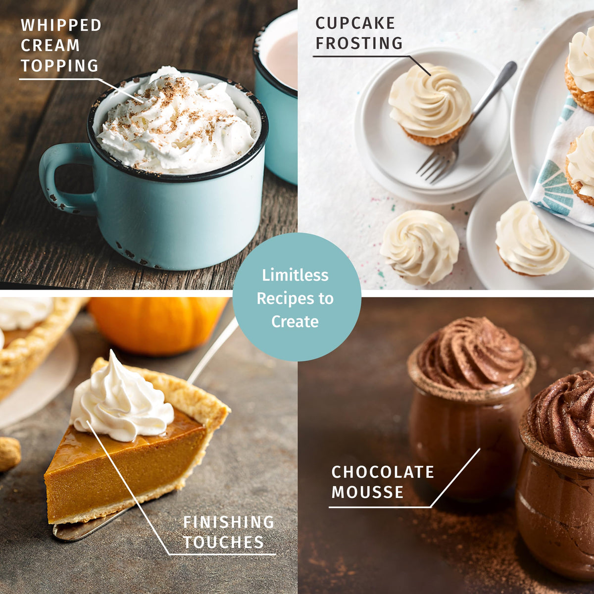 Otis Classic decorating tips closeup for elegant whipped cream art